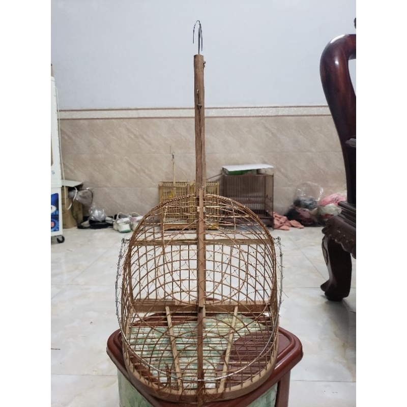 Bẫy 1 mặt mào và chòe