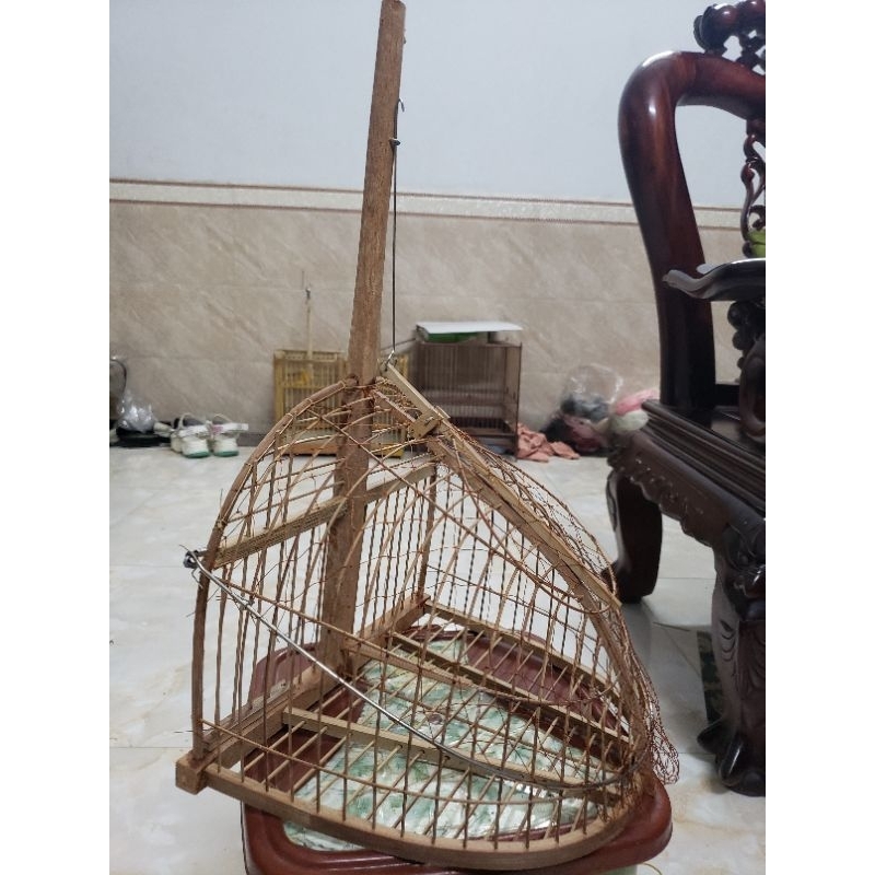 Bẫy 1 mặt mào và chòe