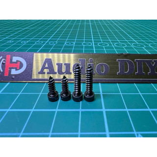 Vít lục giác bắt loa m3 ( 10mm, 16mm)