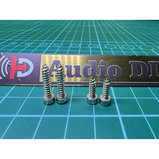 Vít lục giác bắt loa m3 ( 10mm, 16mm)