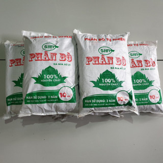 Phân bò hữu cơ đã qua xử lý bón đất, cây trồng