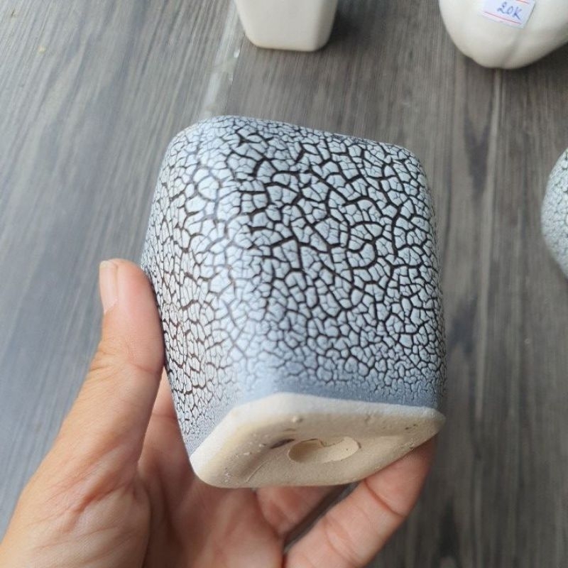 Chậu sen đá mini bằng sứ