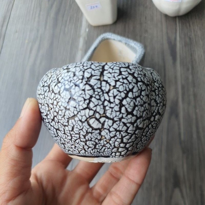 Chậu sen đá mini bằng sứ