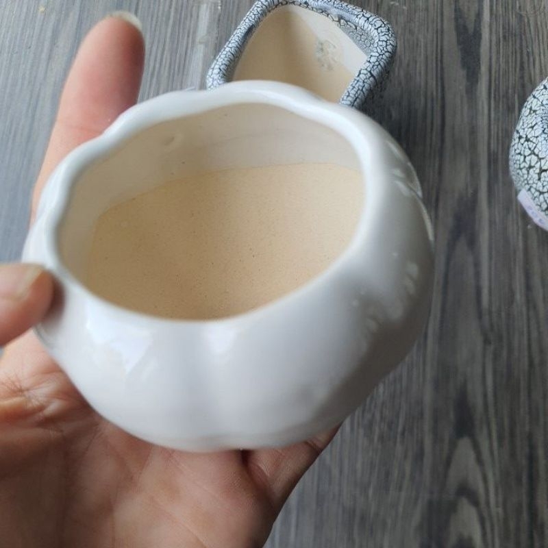 Chậu sen đá mini bằng sứ