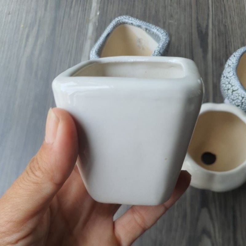 Chậu sen đá mini bằng sứ