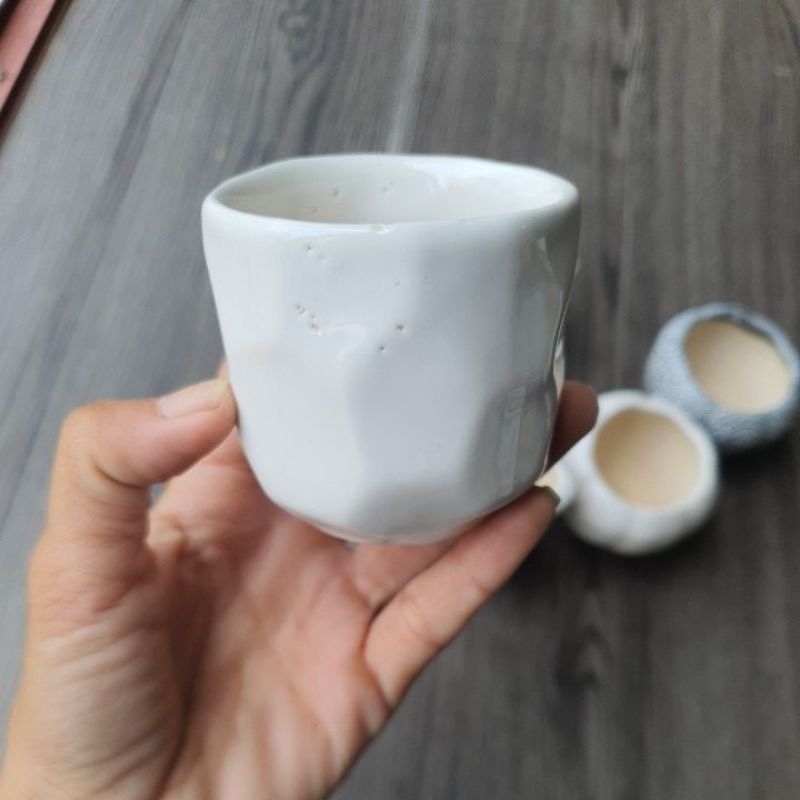Chậu sen đá mini bằng sứ