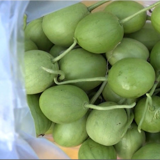 Hạt Giống Dưa Hấu Nụ (Gói 10 Hạt) -[Quả mọng, Ngọt mát - Dễ trồng, Siêu quả]