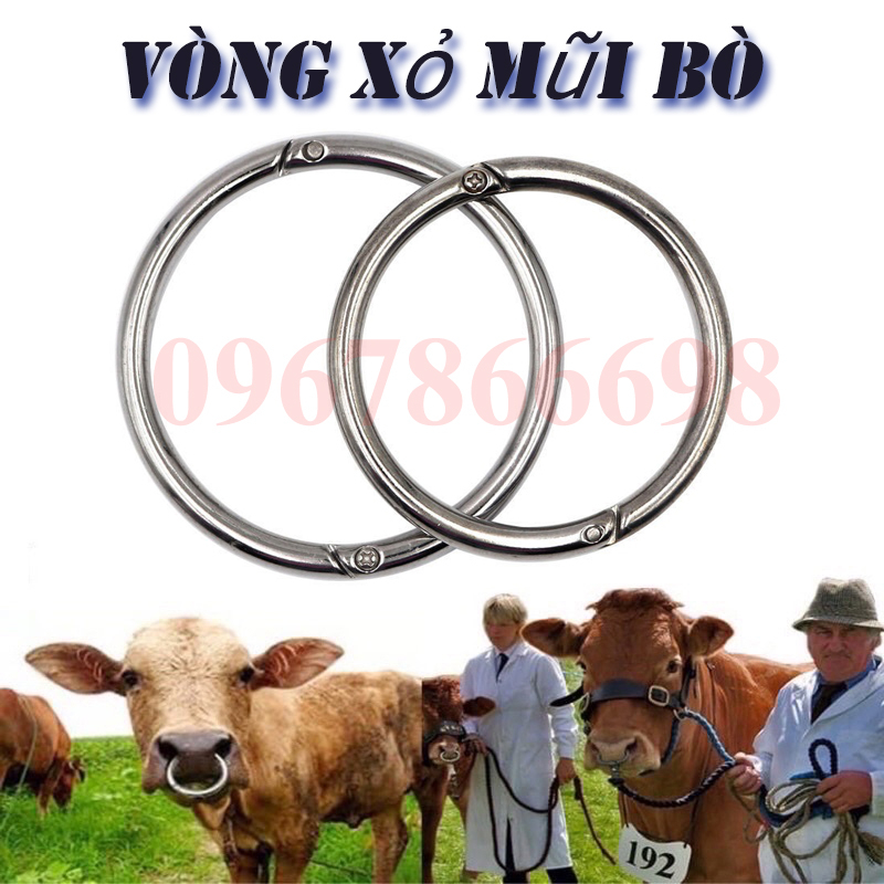 Vòng xỏ mũi trâu bò bằng thép không gỉ rất bền