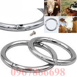 Vòng xỏ mũi trâu bò bằng thép không gỉ rất bền