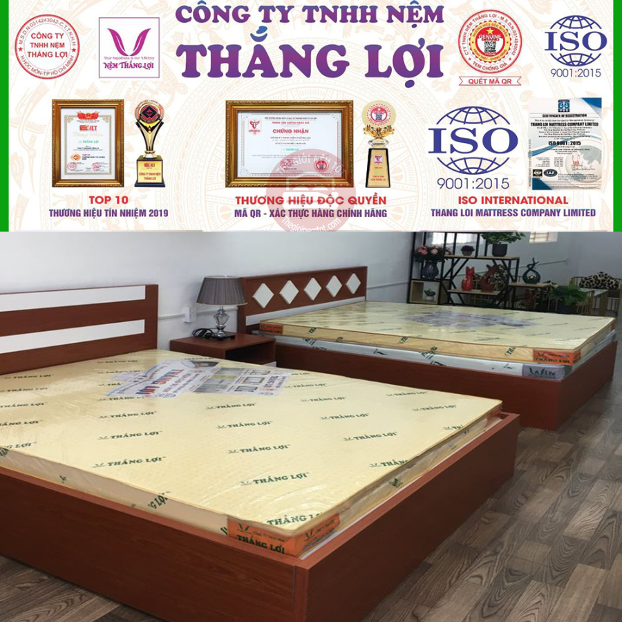 Nệm Cao Su Non Thắng Lợi foam thiên Nhiên cao 10cm 1m 1m2 1m4 1m6 1m8  Bảo Hành 15 Năm Đạt Thắng