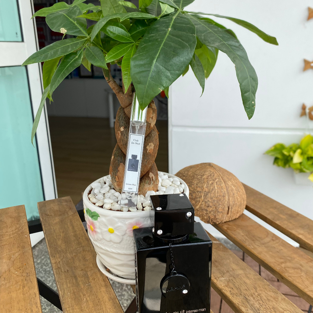 Nước hoa nam cao cấp Club De Nuit lưu hương lâu -Dung tích 10ml