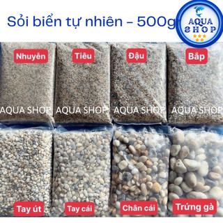 Sỏi biển tự nhiên trang trí bể cá túi 500gr