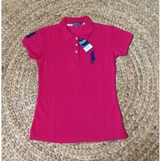 Áo thun polo nam nữ cao cấp nhiều màu