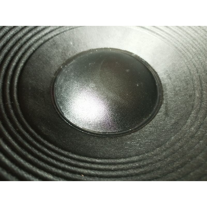 Loa Sub Bass 50 P-audio C-18 từ 220 coil 100 , 2 lớp nhện loa