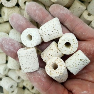 Sứ nhẫn trắng - Sứ lỗ trắng - Sứ lọc - Vật liệu lọc nước bể cá 100gr