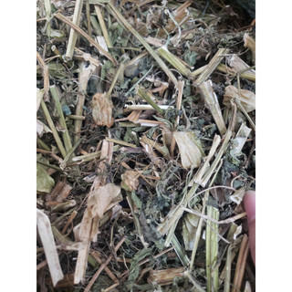 Giá sỉ 1kg Cây tầm bóp khô Hỗ trợ tiểu đường