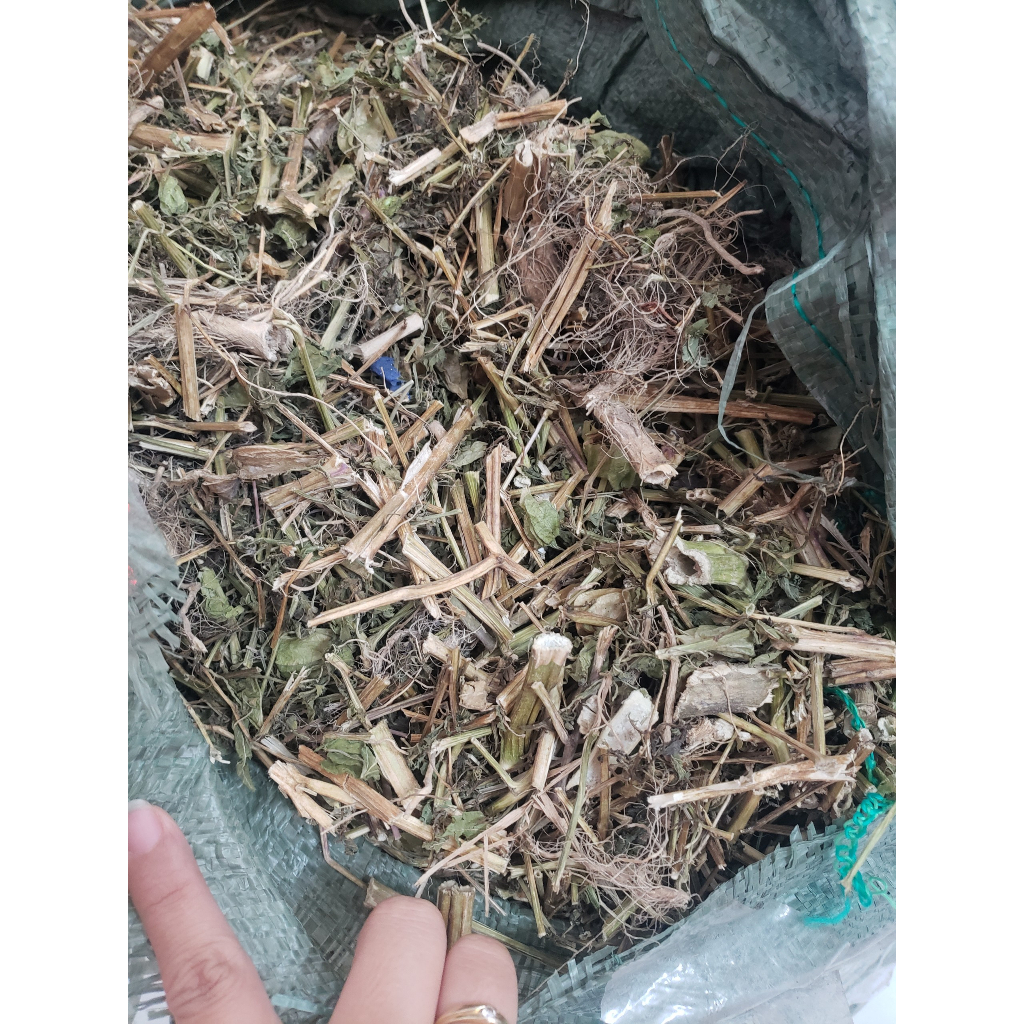 Giá sỉ 1kg Cây tầm bóp khô  Hỗ trợ tiểu đường