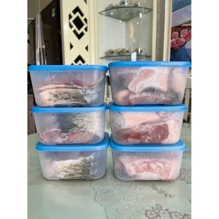 [6 hộp 650ml] Bộ hộp trữ đông Basic Set 6 hộp Tupperware 650ml