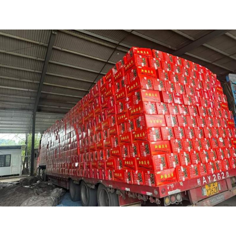Táo Đỏ Tân Cương 1kg