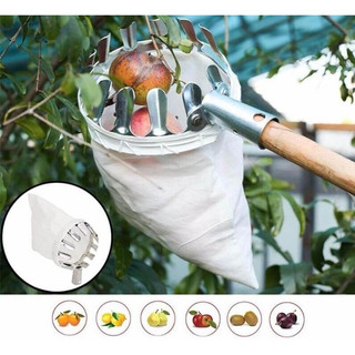 Đầu vợt hái trái cây, đầu vợt hái hoa quả