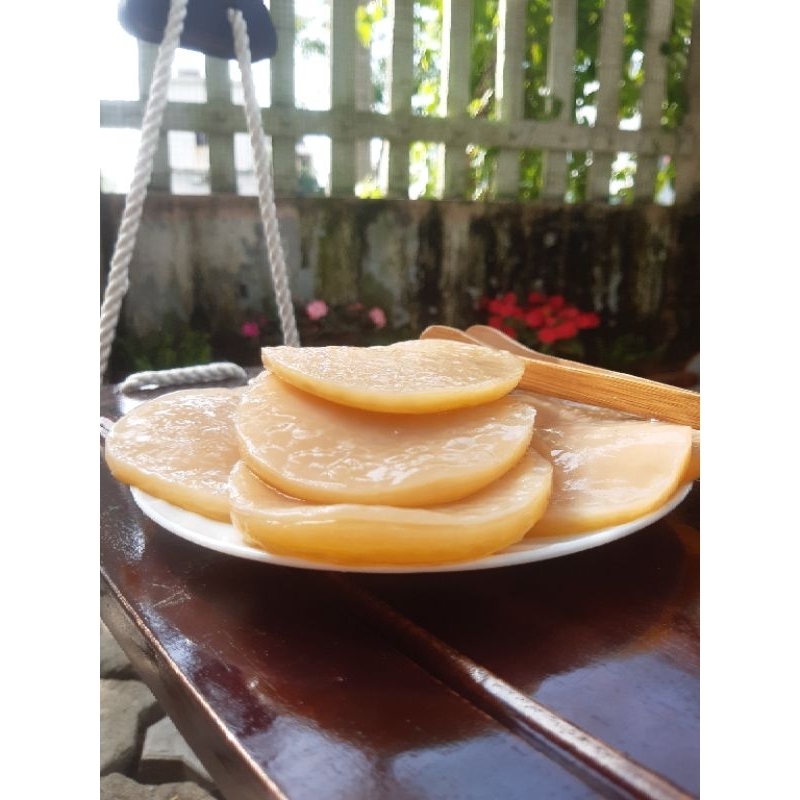 scoby kombucha ( combo 2 scoby)