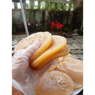 scoby kombucha ( combo 2 scoby)