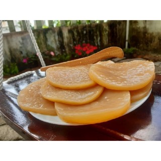 scoby kombucha ( combo 2 scoby)