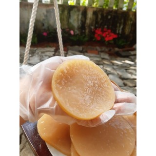 scoby kombucha ( combo 2 scoby)