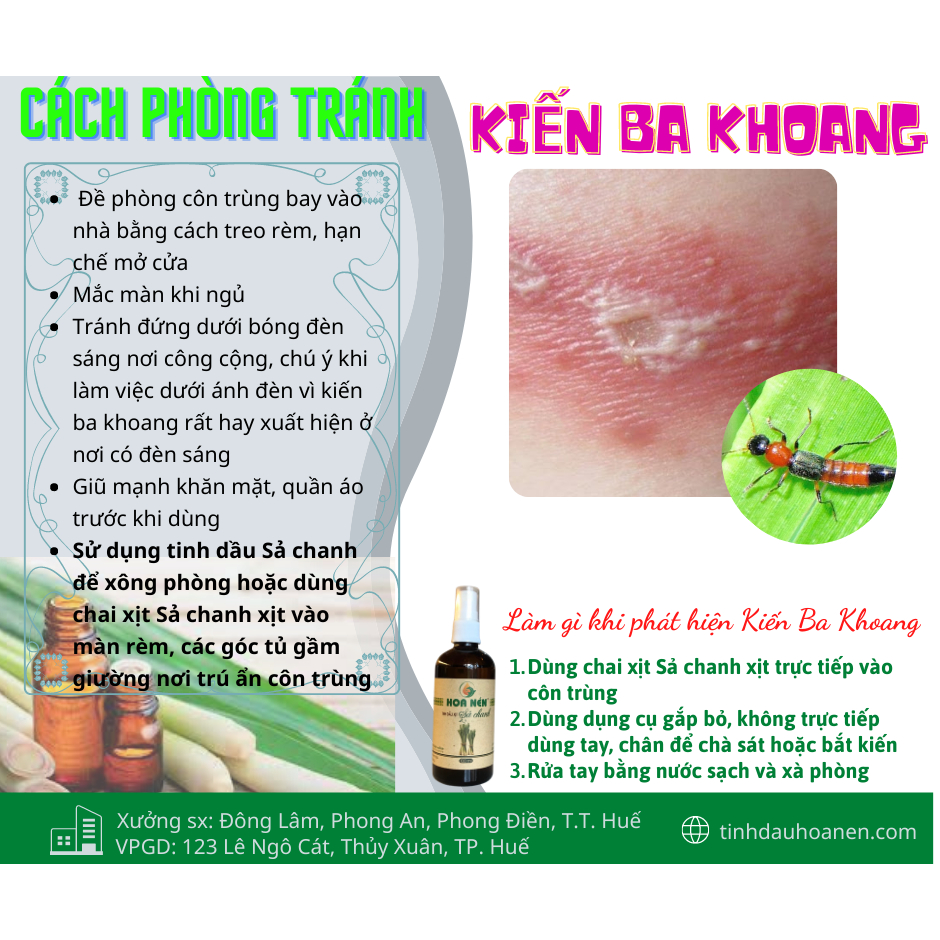 Tinh dầu Sả Chanh 100ml - Hoa Nén - Hương thơm mát, khử mùi, ẩm mốc, đuổi muỗi, côn trùng