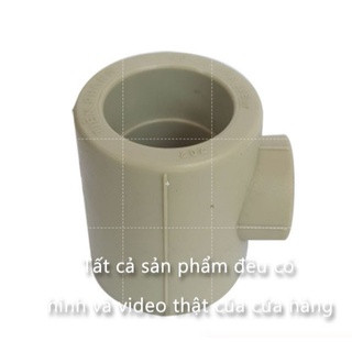 PPR Tê thu Tiền Phong các size 40 trở xuống