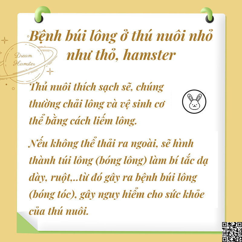 Đu đủ sấy 3 Yee loại sợi bổ sung dinh dưỡng, giúp mài răng và hỗ trợ tan búi lông dành cho thỏ, bọ hamster, nhím...