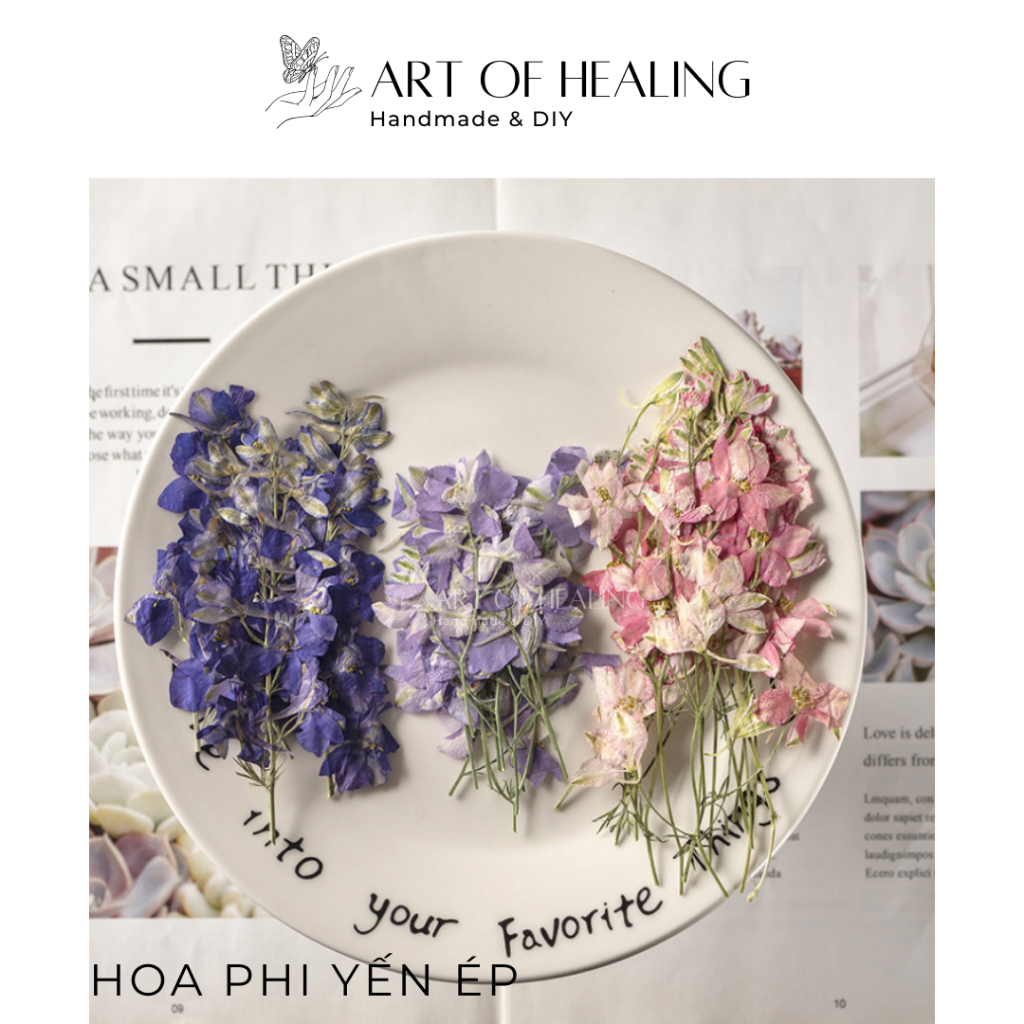Hoa Phi Yến ép có cành 4-7cm trang trí nến, resin, sổ tay, decor - Handmade & DIY