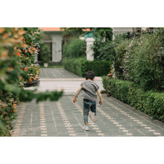 LE COON | Áo Len Gile Cúc Giữa