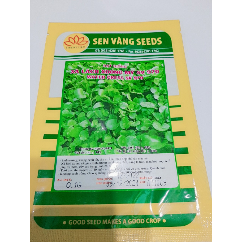 Hạt giống cải Xoong - kháng bệnh tốt năng suất cao