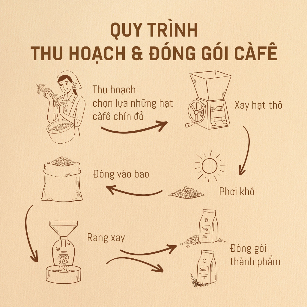 Cà phê hạt Robusta rang mộc nguyên chất 69 BUÔN MÊ 250g/500g