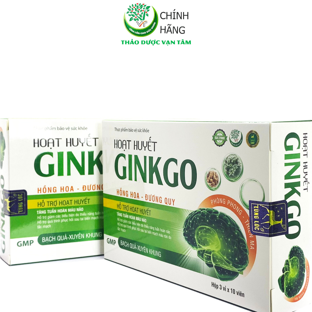 Hoạt Huyết GINKGO - Hỗ trợ hoạt huyết, tăng tuần hoàn máu não