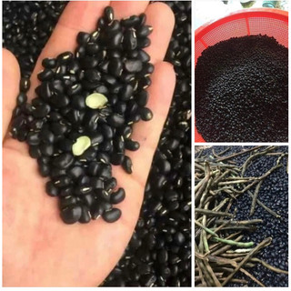 1kg đậu đen xanh lòng nhà an lành