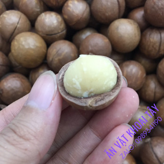Hạt macca nứt vỏ 22-24mm 500g