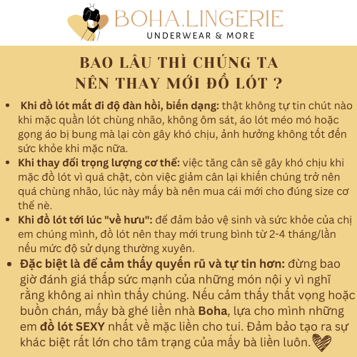 ÁO LÓT BRALETTE HÀNG XUẤT KHẨU REN CHẤM BI SEXY THIẾT KẾ MỎNG NHẸ THOÁNG MÁT A109