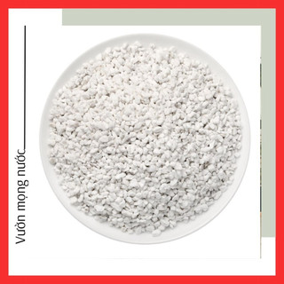 Đá perlite 🌳 free ship 🌳 giúp đất tơi xốp