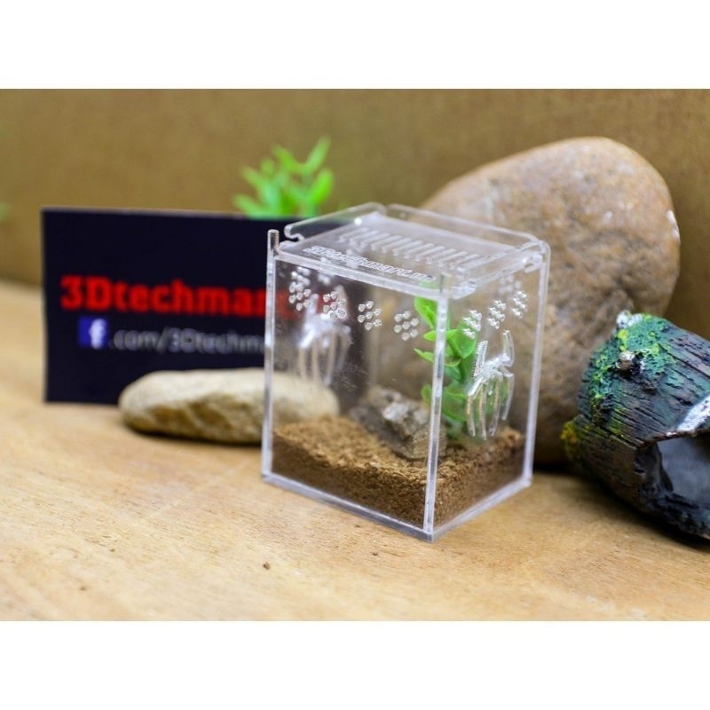 Hộp Nuôi Nhện Sizesling (tank tarantula) mica cao cấp sang trọng