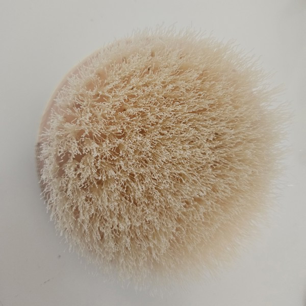 EcoTools, Bàn chải cơ thể khô, 1 Bàn chải giúp thư giản và mịn da, lưu thông