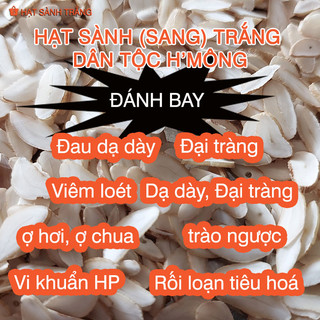 [01 Hạt Sành Trắng nguyên vỏ] - Đại tràng, dạ dày Tây Bắc (còn gọi là hạt sang, hạt dạ dày)