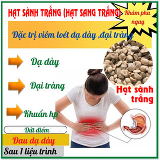 [01 Hạt Sành Trắng nguyên vỏ] - Đại tràng, dạ dày Tây Bắc (còn gọi là hạt sang, hạt dạ dày)