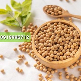 Đậu nành hữu cơ thuần chủng quê non gmo - organic soybean