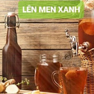 NẤM THỦY SÂM KOMBUCHA LÊN MEN TRÀ VÀ ĐƯỜNG MÍA/ MẬT ONG CÓ GA THƠM NGON