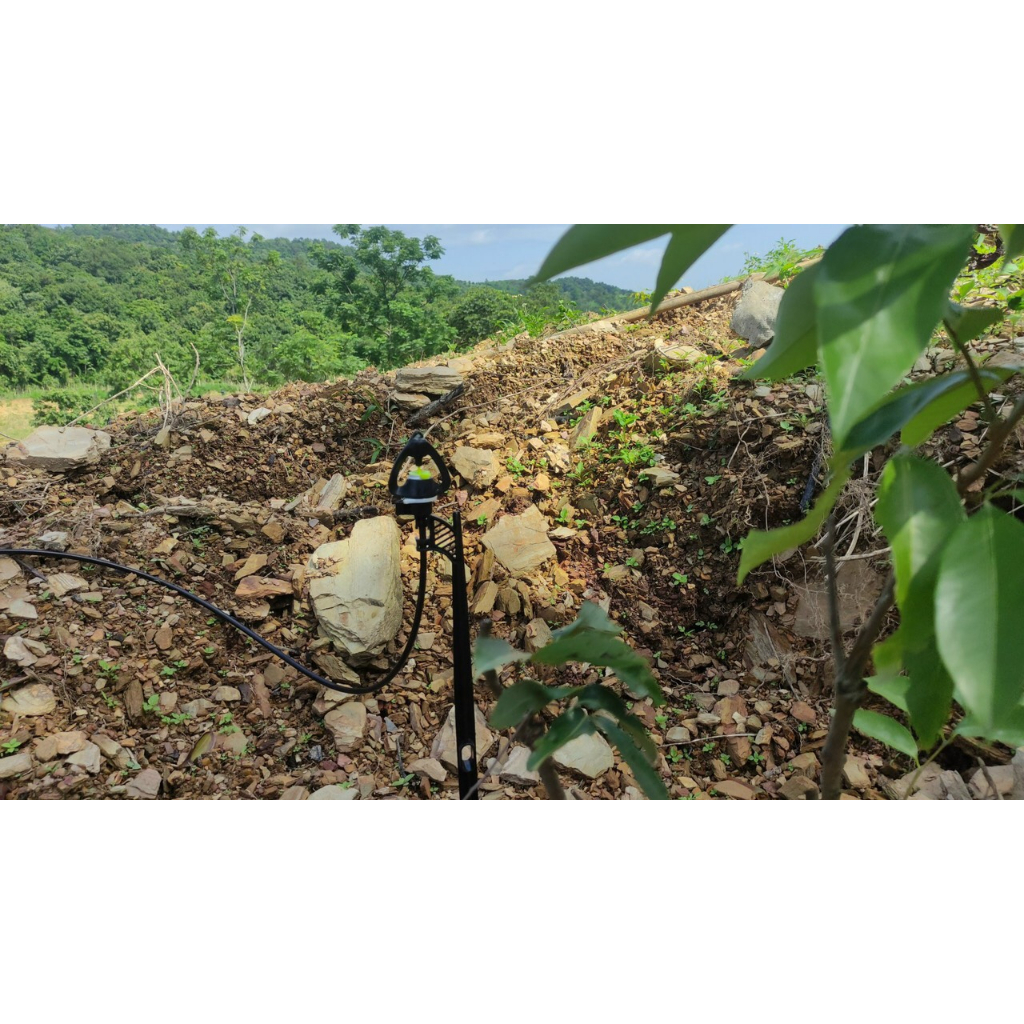 Đầu nối ren trong 17 sang 6mm