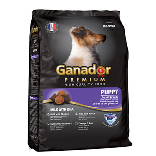 Ganador milk with dha hạt khô cho chó con vị sữa 400g