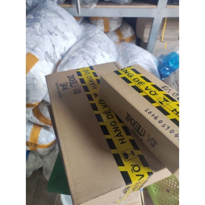 4 Ấu Thái Thủy Sinh - ☘️☘️ - Siêng lọc nước - Thải độc môi trường nước cho cá