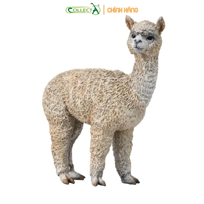 Mô hình động vật - Lạc đà Alpaca ( Chính hãng)